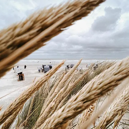 Nordstrandperle Ap E7 Norderney