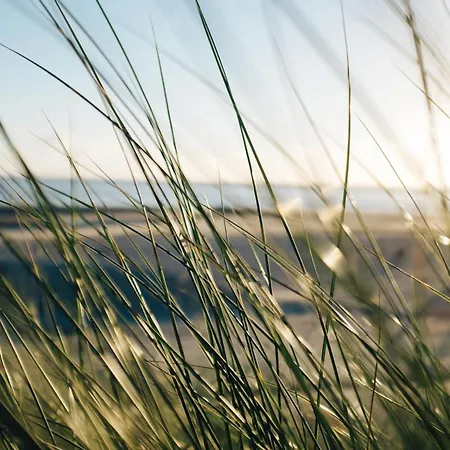 Nordstrandperle Ap E7